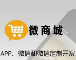 微邦網絡,微商城與小程序商城的運營成本差異